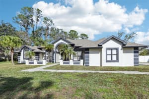 1010 EMERALD CREEK DRIVE, VALRICO, FL 33596 - MLS#MFRTB8431596
