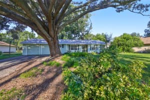 306 HOLLOWTREE DRIVE, SEFFNER, FL 33584 - MLS#MFRTB8431598