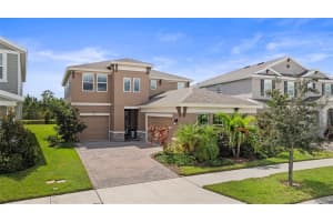 17750 EVERLONG DRIVE, LAND O LAKES, FL 34638 - MLS#MFRTB8431606