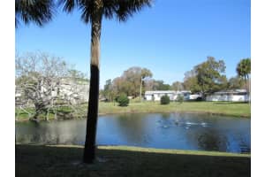 940 Virginia St #107, DUNEDIN 940 Virginia St #107, DUNEDIN