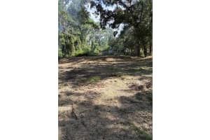 10548 POSEN STREET, NEW PORT RICHEY, FL 34654 - MLS#MFRTB8431637