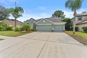 7340 Night Heron Dr, LAND O LAKES