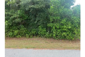 8014 SIMMONS STREET, BROOKSVILLE, FL 34613 - MLS#MFRTB8431671