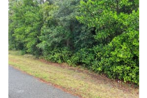 8014 SIMMONS STREET, BROOKSVILLE, FL 34613 - MLS#MFRTB8431671