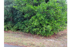 8014 SIMMONS STREET, BROOKSVILLE, FL 34613 - MLS#MFRTB8431671