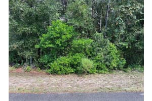 8026 SIMMONS STREET, BROOKSVILLE, FL 34613 - MLS#MFRTB8431676