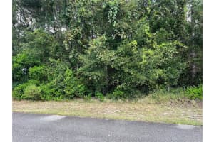 8026 SIMMONS STREET, BROOKSVILLE, FL 34613 - MLS#MFRTB8431676