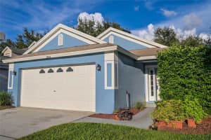 8434 HAWBUCK STREET, TRINITY, FL 34655 - MLS#MFRTB8431678