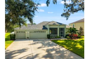 3629 MOSSY OAK CIRCLE, LAND O LAKES, FL 34639 - MLS#MFRTB8431684