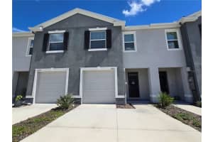 32803 Pez Landing Ln, WESLEY CHAPEL