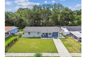 4419 DOLPHIN DRIVE, TAMPA, FL 33617 - MLS#MFRTB8431716