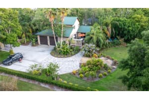 1252 LAKE DRIVE, TARPON SPRINGS, FL 34688 - MLS#MFRTB8431734