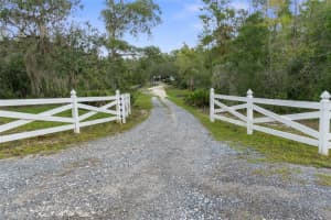 25989 GERONIMO STREET, BROOKSVILLE, FL 34601 - MLS#MFRTB8431748
