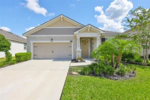 11520 CEDAR VALLEY DRIVE, RIVERVIEW, FL 33569 - MLS#MFRTB8431753