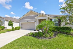 11520 CEDAR VALLEY DRIVE, RIVERVIEW, FL 33569 - MLS#MFRTB8431753