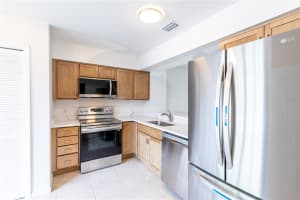 16175 RAMBLING VINE DRIVE, TAMPA, FL 33624 - MLS#MFRTB8431771