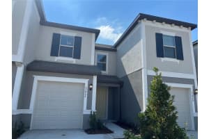 31864 Blue Passing Loop, WESLEY CHAPEL