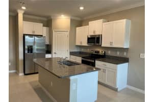 31864 BLUE PASSING LOOP, WESLEY CHAPEL, FL 33545 - MLS#MFRTB8431794