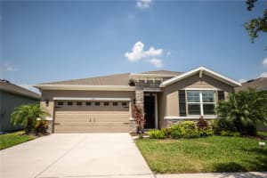 11939 CROSS VINE DRIVE, RIVERVIEW, FL 33579 - MLS#MFRTB8431806