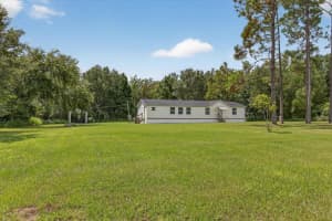31326 TYNDALL ROAD, WESLEY CHAPEL, FL 33545 - MLS#MFRTB8431812