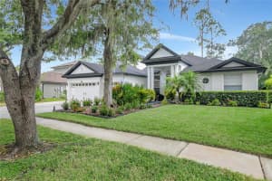 808 RIVER HAMMOCK BOULEVARD, BRANDON, FL 33511 - MLS#MFRTB8431832