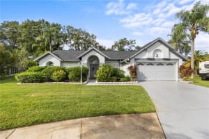 15101 BALD EAGLE STREET, TAMPA, FL 33625 - MLS#MFRTB8431865