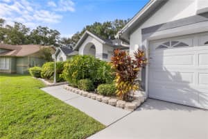 15101 BALD EAGLE STREET, TAMPA, FL 33625 - MLS#MFRTB8431865