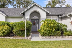 15101 BALD EAGLE STREET, TAMPA, FL 33625 - MLS#MFRTB8431865