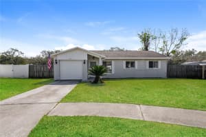 MLS# MFRTB8431867, Valrico, Florida 33594