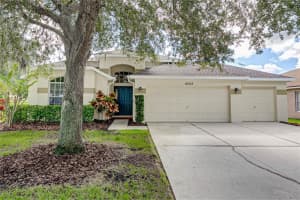 16325 Bridgeglade Ln, LITHIA 16325 Bridgeglade Ln, LITHIA