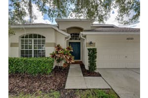 16325 BRIDGEGLADE LANE, LITHIA, FL 33547 - MLS#MFRTB8431874