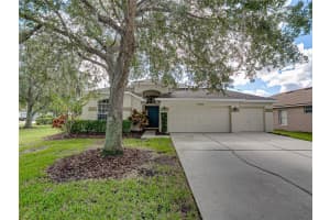 16325 BRIDGEGLADE LANE, LITHIA, FL 33547 - MLS#MFRTB8431874