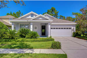 20008 HERITAGE POINT DRIVE, TAMPA, FL 33647 - MLS#MFRTB8431877
