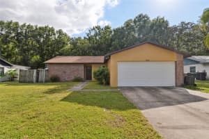 14128 Arbor Hills Rd, TAMPA