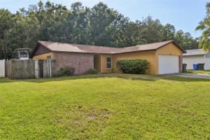 14128 ARBOR HILLS ROAD, TAMPA, FL 33625 - MLS#MFRTB8431888