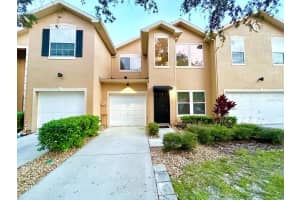6211 Ashbury Palms Dr, TAMPA