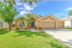 2505 ALLWOOD AVENUE, VALRICO, FL 33596 - MLS#MFRTB8431903