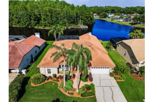 2691 SADDLEWOOD LANE, PALM HARBOR, FL 34685 - MLS#MFRTB8431920