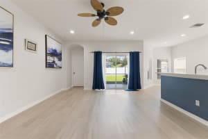 1005 CRYSTAL CARBON WAY, VALRICO, FL 33594 - MLS#MFRTB8431928