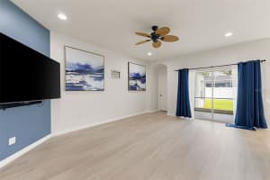 1005 CRYSTAL CARBON WAY, VALRICO, FL 33594 - MLS#MFRTB8431928