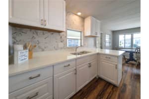 217 SEAGULL DRIVE, TARPON SPRINGS, FL 34689 - MLS#MFRTB8431973