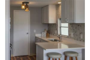 217 SEAGULL DRIVE, TARPON SPRINGS, FL 34689 - MLS#MFRTB8431973