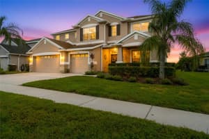 2330 NESSLEWOOD DRIVE, WESLEY CHAPEL, FL 33543 - MLS#MFRTB8432010