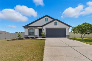 12410 LOOPBACK DRIVE, SAN ANTONIO, FL 33576 - MLS#MFRTB8432041