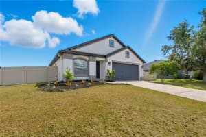 12410 LOOPBACK DRIVE, SAN ANTONIO, FL 33576 - MLS#MFRTB8432041