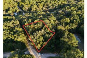 NE 2ND PL, WILLISTON, FL 32696 - MLS#MFRTB8432044