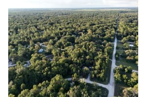 NE 2ND PL, WILLISTON, FL 32696 - MLS#MFRTB8432044