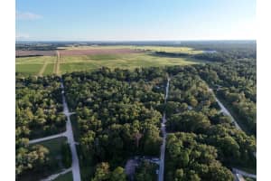 NE 2ND PL, WILLISTON, FL 32696 - MLS#MFRTB8432044