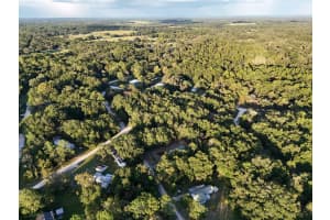 NE 2ND PL, WILLISTON, FL 32696 - MLS#MFRTB8432044