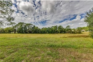 10443 CASA GRANDE CIRCLE, SPRING HILL, FL 34608 - MLS#MFRTB8432140